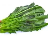 اسفناج
