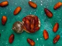 چای با خرما