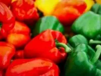 حساسیت به فلفل دلمه ای