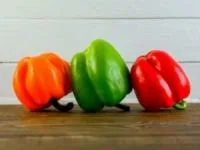 فلفل دلمه ای