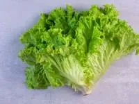 ماسک کاهو