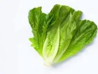 خواص کاهو
