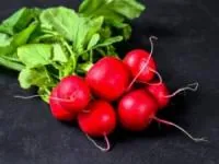 خواص تربچه