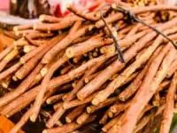 گیاه گالگا