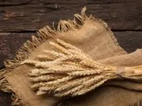 غلات سبوس دار 