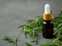 روغن درخت چای برای ریزش مو