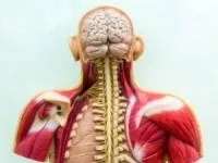 آلزایمر