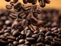 نگهداری از قهوه