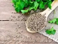 خواص گشنیز