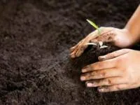 ضدعفونی کردن خاک