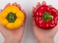 جذب آهن