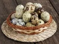 فواید تخم بلدرچین