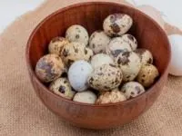 خواص تخم بلدرچین