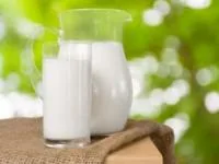 همراه شیر