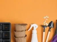 سبزی در آپارتمان