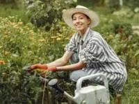 تابستان چی بکاریم