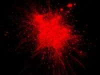 رنگ قرمز
