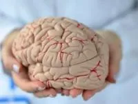 ارتباط پا با مغز