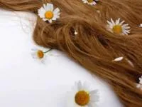 موهای پر پشت