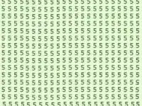 تست هوش