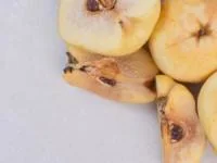 به دانه