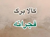کالابرگ فجرانه