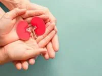 پیوند کلیه