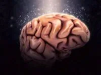 ادویه برای تقویت حافظه