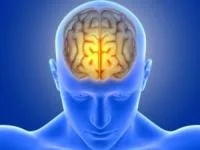 پیری مغز