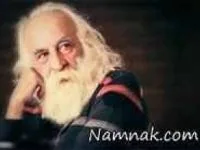 محمدرضا لطفی