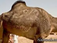 تصاویر جالب