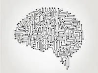 مغز زنان و مردان