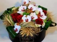 باکس گل