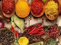 داروهای گیاهی