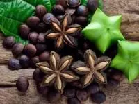 گیاه اینکا اینچی