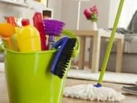 تمیز کردن حانه