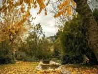 پارک جمشیدیه تهران