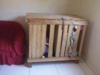 زندانی کردن دوقلوها در قفس چوبی