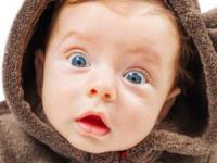 پیوند موفق اعضای صورت