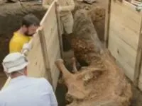 بزرگترین عاج ماموت