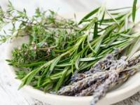 خواص رزماری