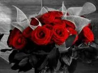 ویژگی گل رز