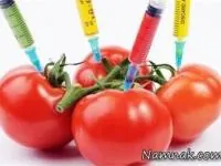 محصولات تراریخته