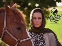 سارا بهرامی