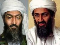 امیرمهدی ژوله و بن لادن