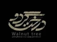 درخت گردو