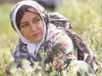 مریلا زارعی