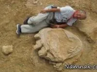 دایناسور