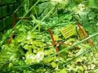 راننده جراثقال چنگک دار