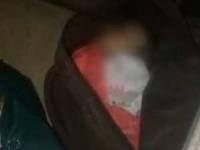 نوزاد در کیف دستی